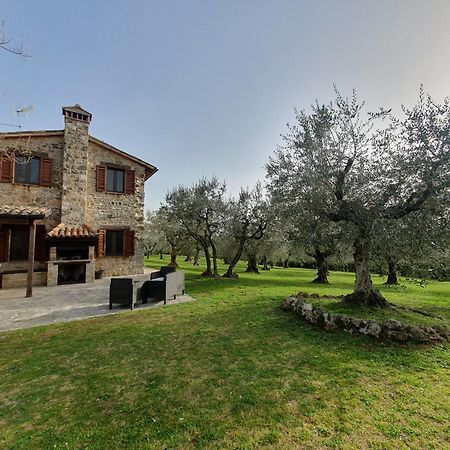 Villa Lisabetta Montecchio  Bagian luar foto